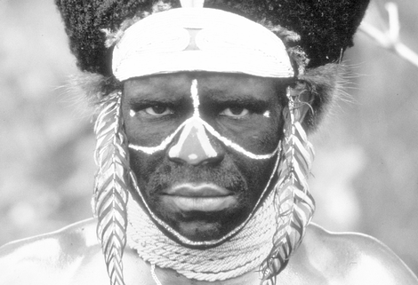 Illustration for article titled Bantu Tribesman Uses IBM Global Uplink Network Modem to Crush Nut
